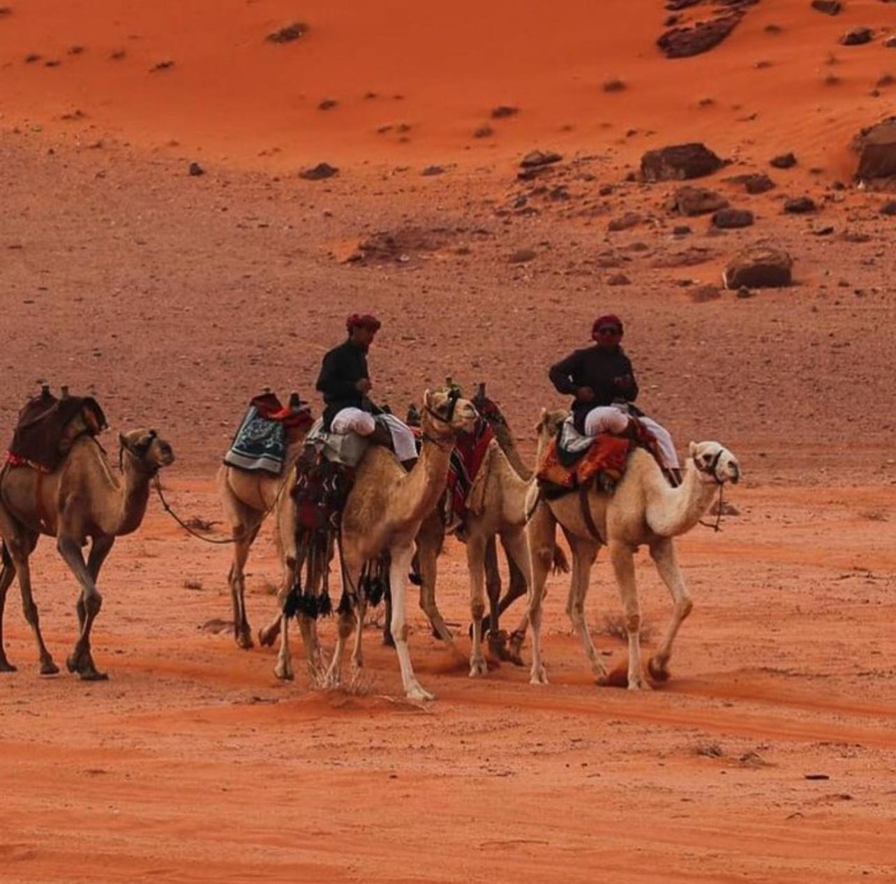 Bedouin Bunch Camp Hotel Wadi Rum Exterior foto