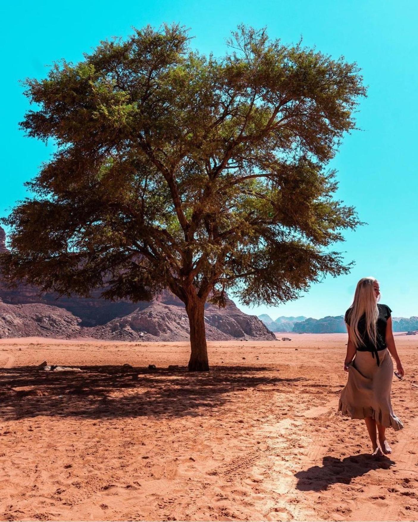 Bedouin Bunch Camp Hotel Wadi Rum Exterior foto