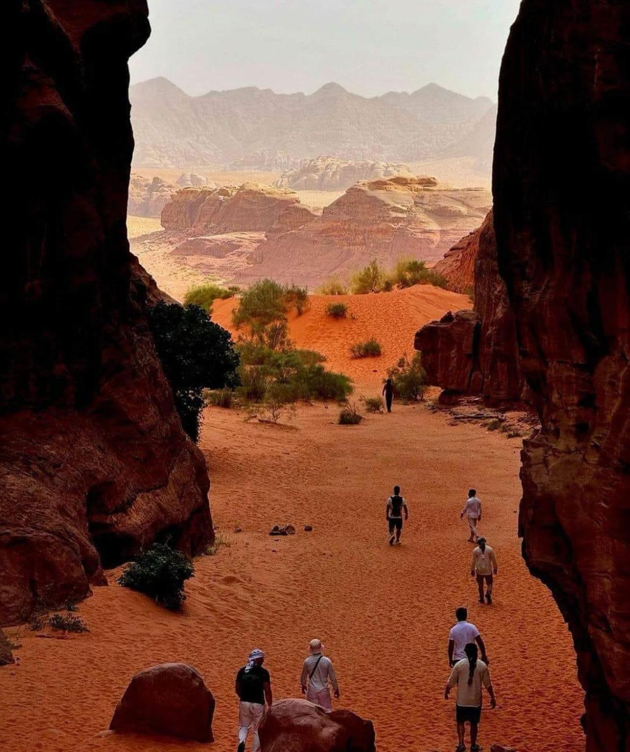 Bedouin Bunch Camp Hotel Wadi Rum Exterior foto